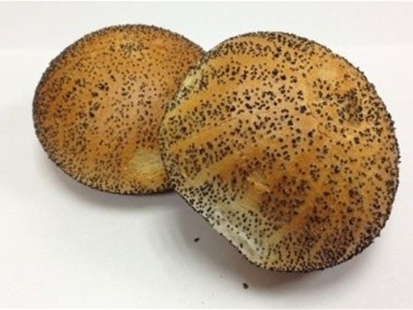 Maanzaad Bollen 4 stuks